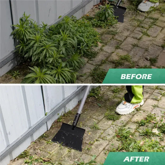 Grattoir de Jardin