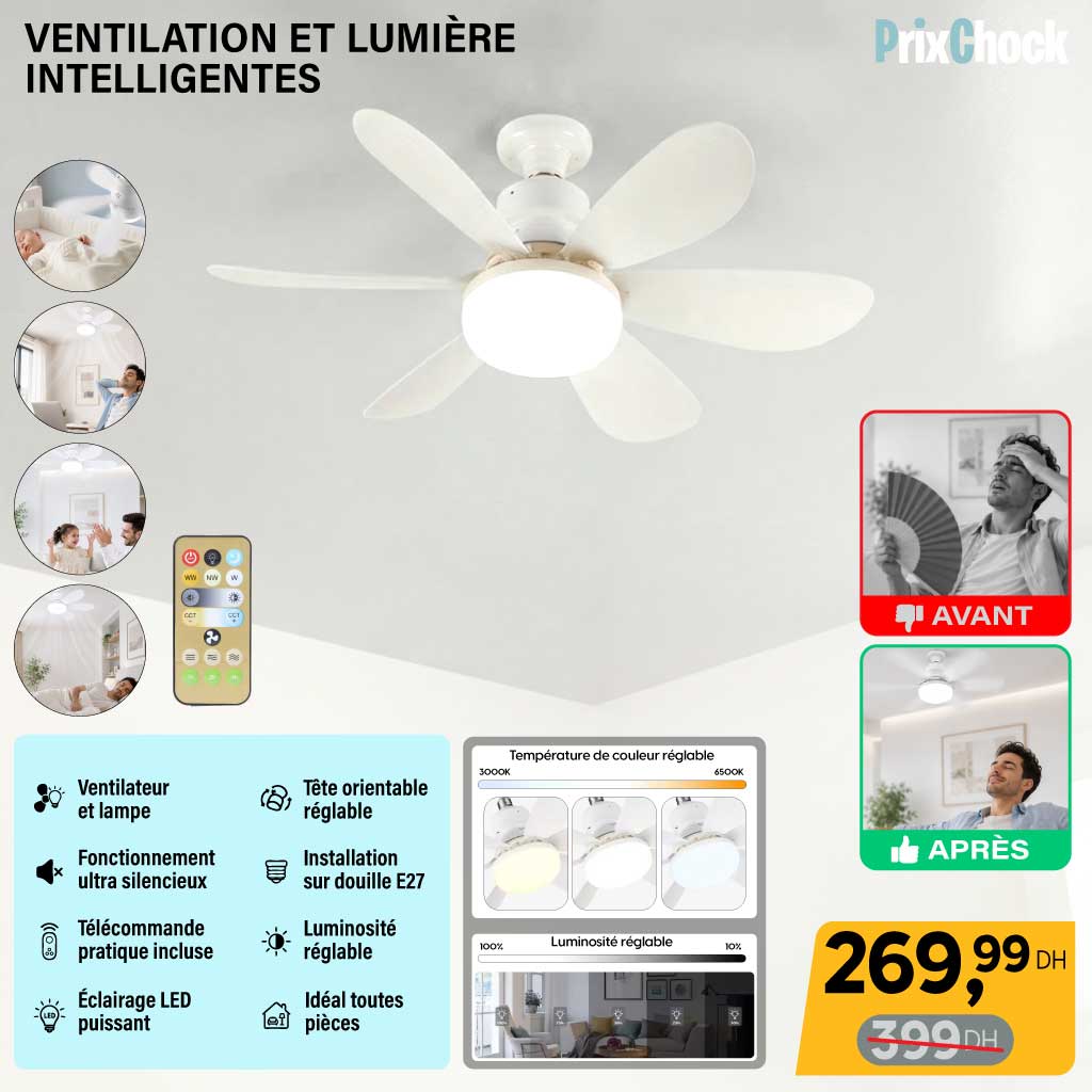 Ventilateur de Plafond avec Éclairage